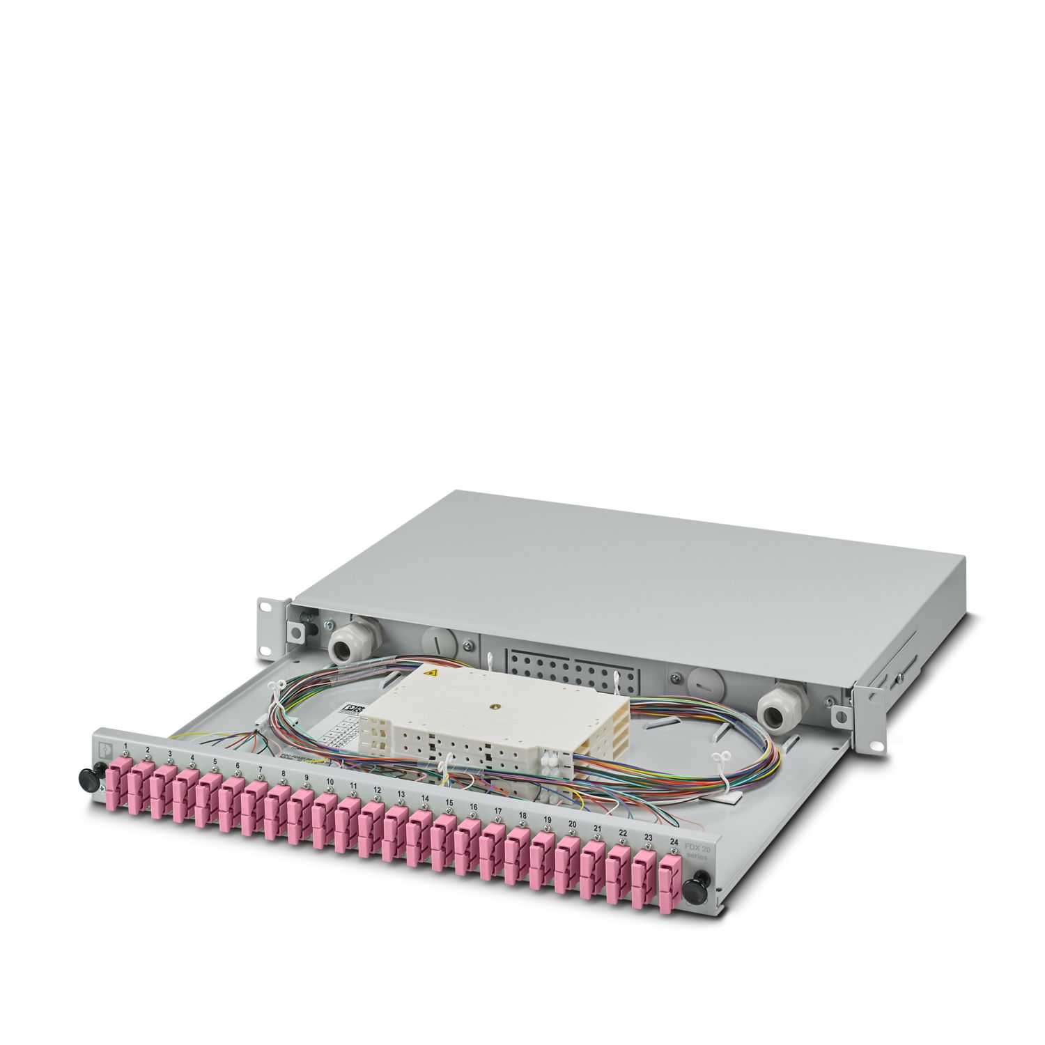 FOC-FDX20-FR19-SCD24-OM4-PT9