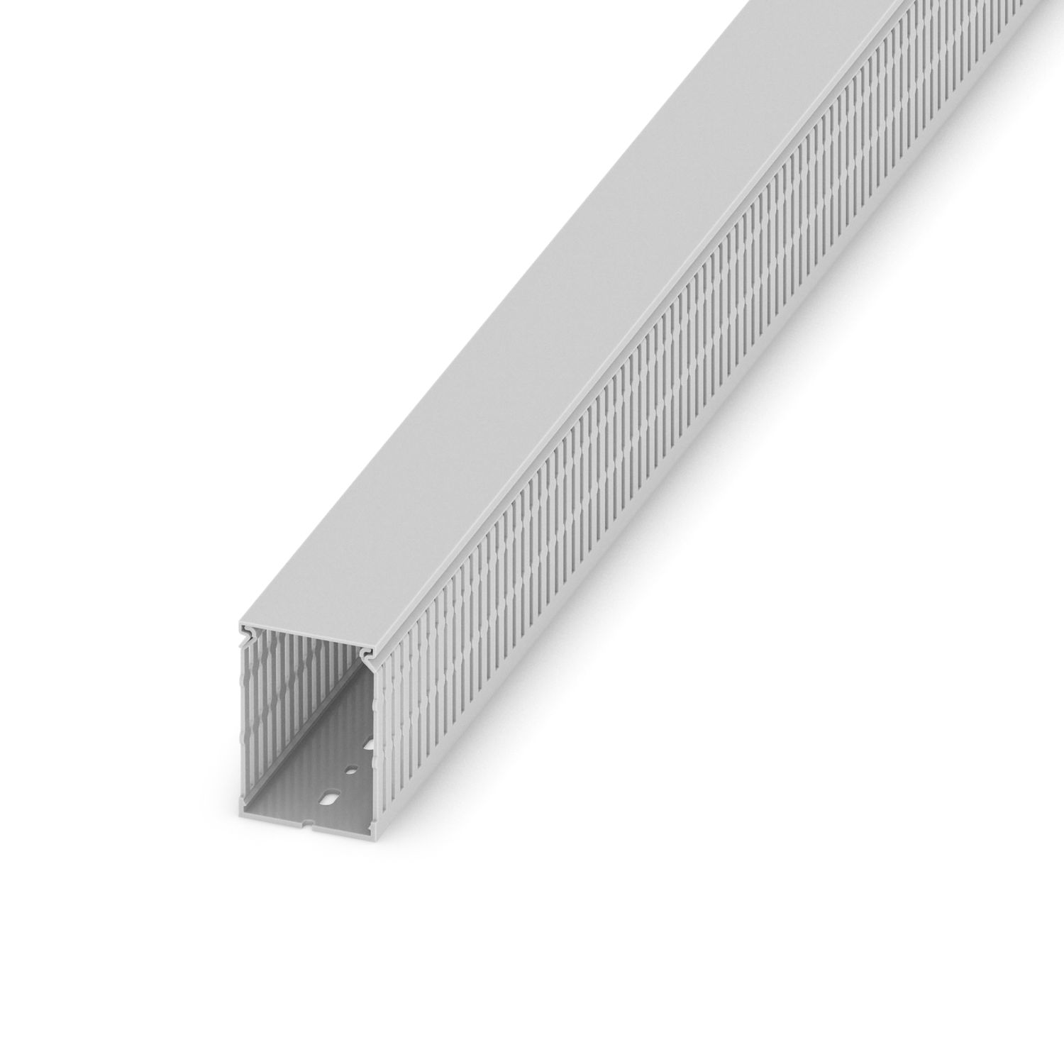 CD 60X80