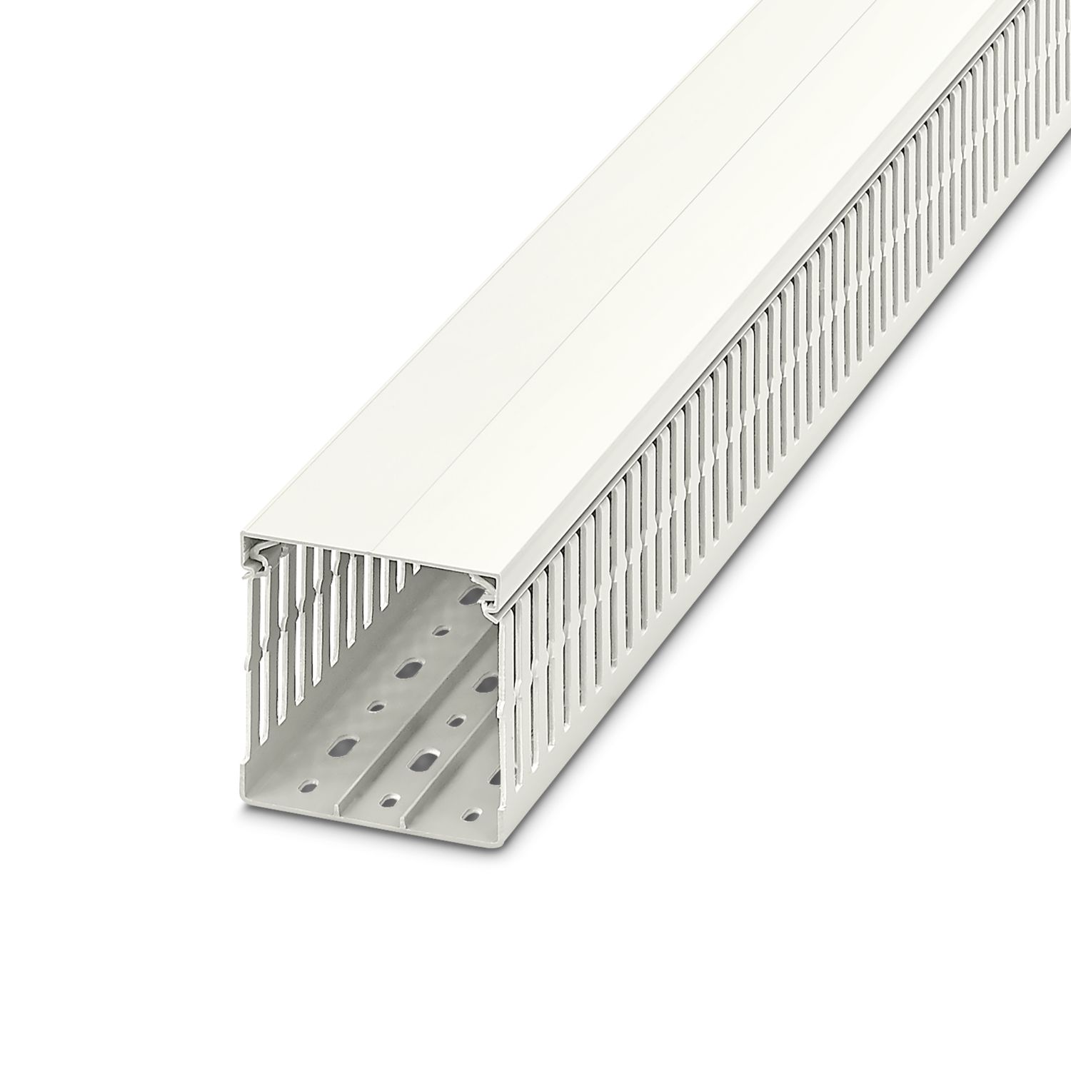 CD 80X80 WH